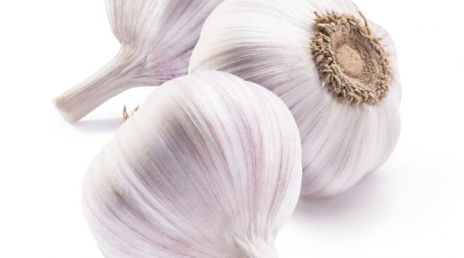 cele mai cunoscute specii de usturoi si beneficiile acestora
