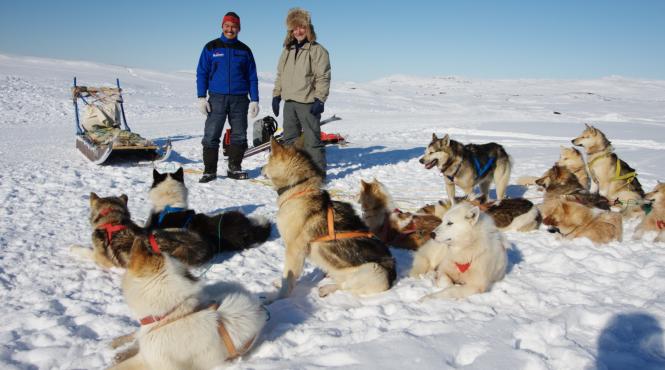 exclusiv pe urmele lui fram in memoriam teodor negoita
