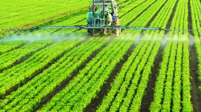 de ce cumpara gigantii companiile romanesti