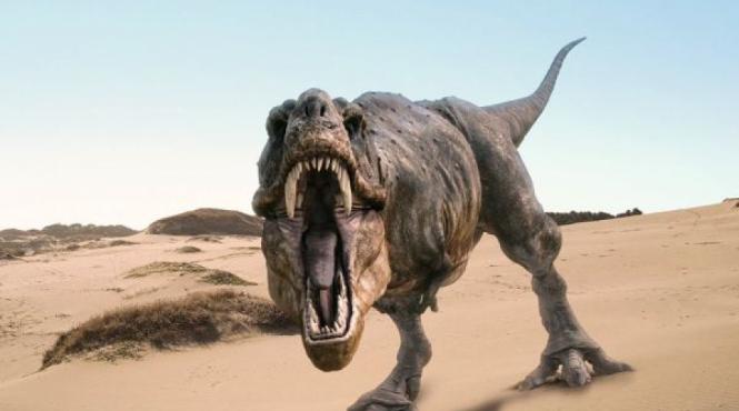 teorie inedita despre disparitia dinozaurilor