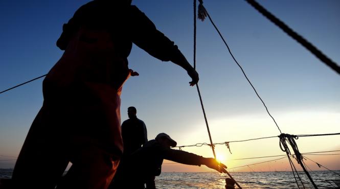 video un pescar brazilian a prins un biban urias