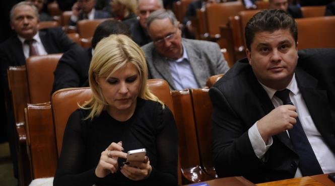 udrea spune ca este si ea vinovata de adoptarea codurilor penale cu greseli