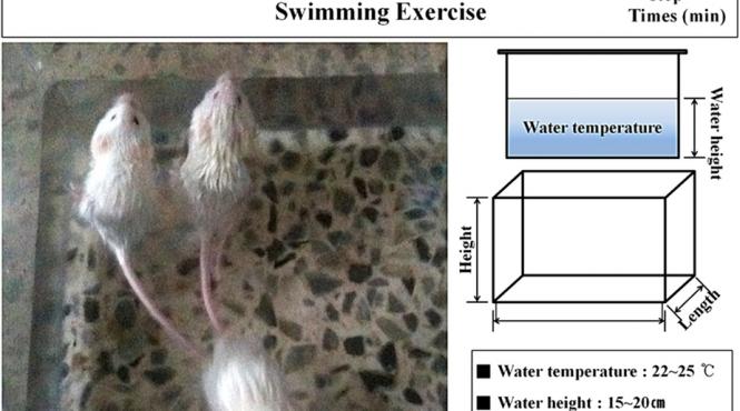 un studiu stiintific romanesc realizat de un profesor de la universitatea cuza din iasi preluat in new york times