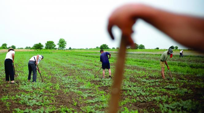 agricultorii romaniei si praduiti si cu banii luati