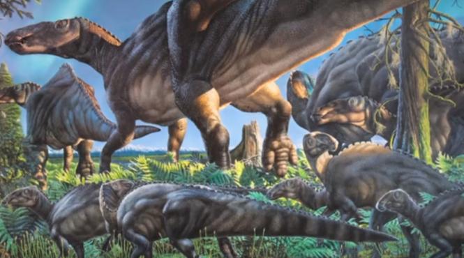 istorie si arheologie 5 descoperiri surprinzatoare ale anului 2015