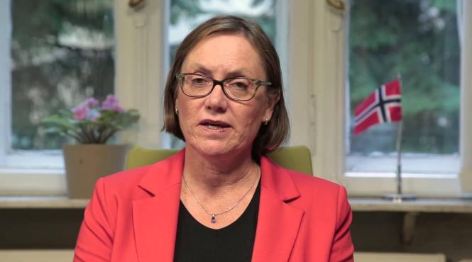 ambasadorul norvegiei familiile nu risca nimic daca iau legatura cu protectia copilului