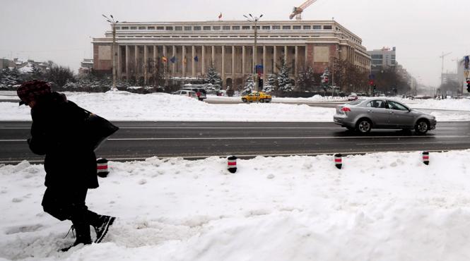 un barbat a intrat cu masina in arbustii din fata palatului victoria