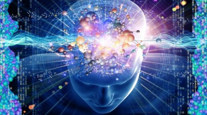sa fii destept o chestie de genetica afla care gene te fac mai inteligent decat altii