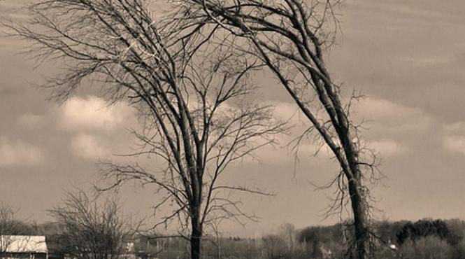 anm atentionare nowcasting de intensificari ale vantului in judetele dolj si mehedinti pana la ora 17 00