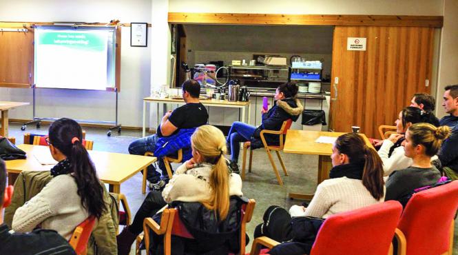 protectia copilului din norvegia a bagat romanii in sedinta