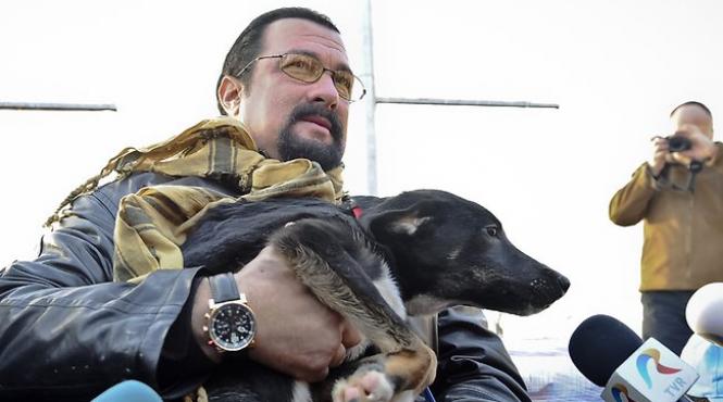 steven segal vine la constanta pentru un nou film