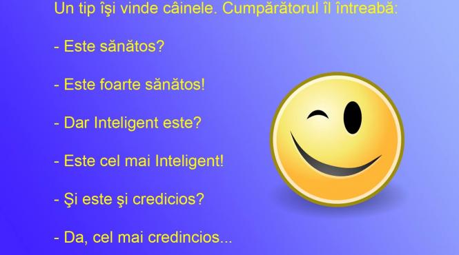 bancul zilei bula are un caine cuminte dar tot il vinde