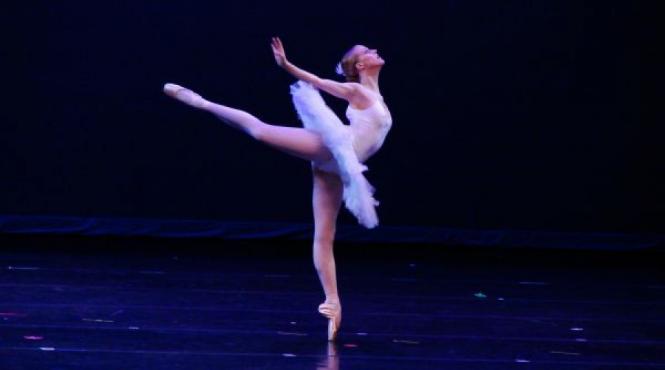 originile si traseul istoric al expresiei cantec de lebada