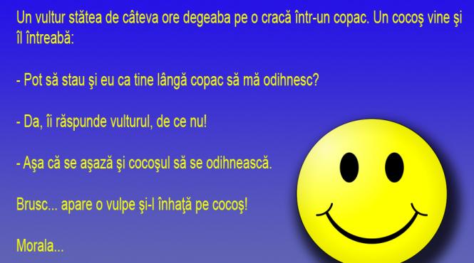 bancul zilei cocosul vulturul si vulpea un menage a trois nereusit