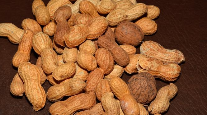 copiii care consuma arahide de la o varsta frageda sunt feriti de alergii