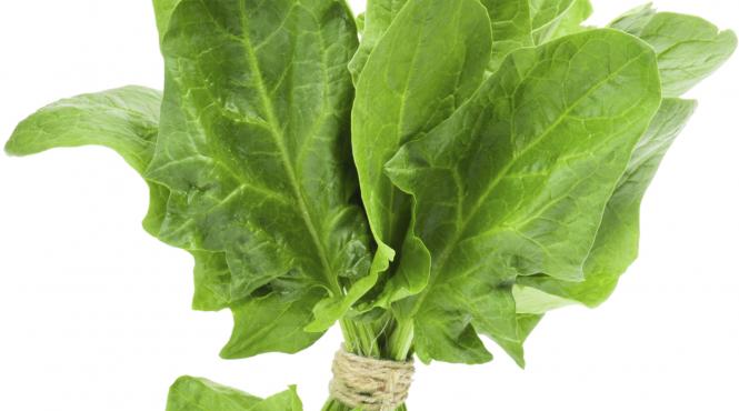 doctorul din camara spanacul alimentul minune care creste imunitatea