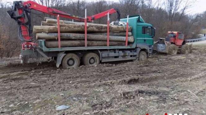 maramures padurea din dealul magoaja taiata ilegal de persoane necunoscute