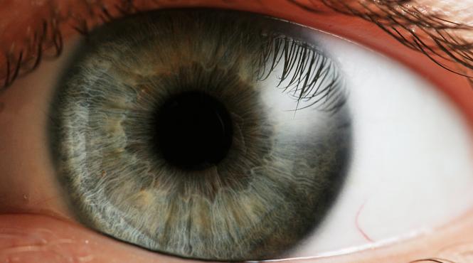 celulele stem tratamentul viitorului impotriva orbirii