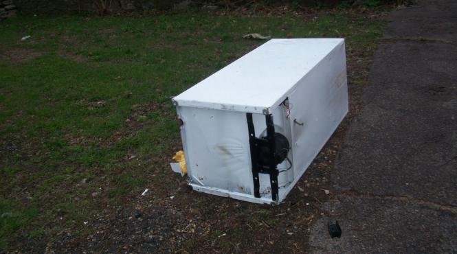 galati gemenii gasiti intr un sac pus intr un frigider se nascusera vii