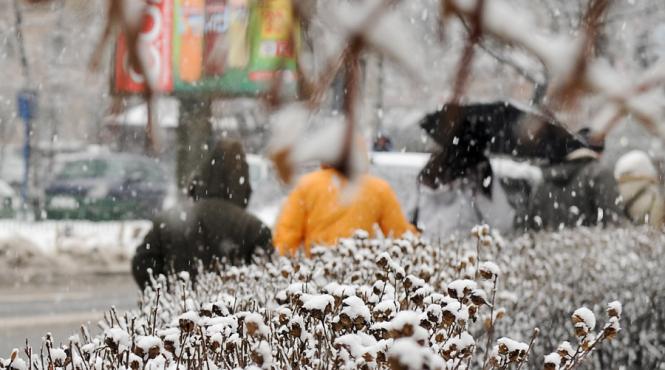 prognoza meteo pentru intervalul 14 27 martie 2016