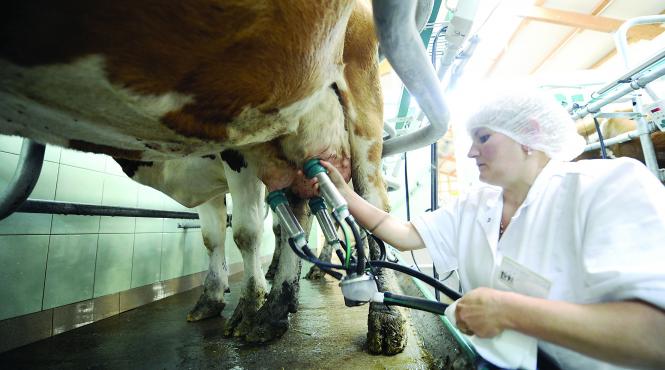 laptele de import dorit de procesatori hulit de fermieri