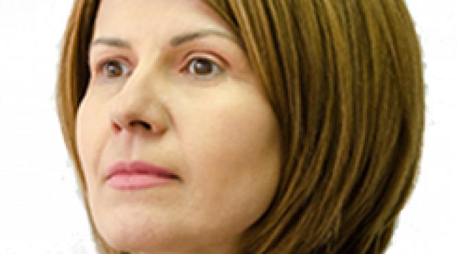 noua vina a clasei politice