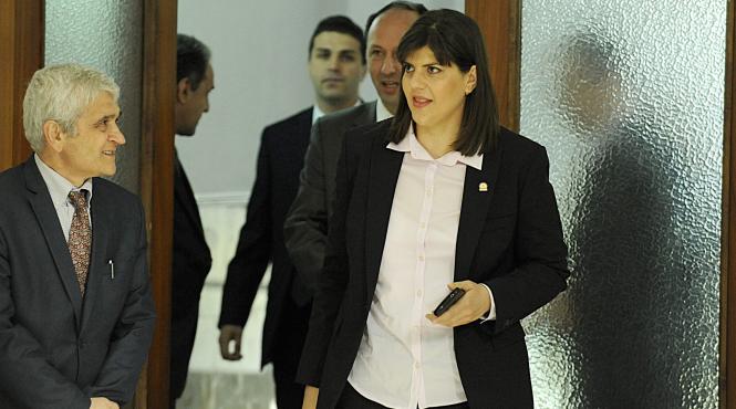 udmr proiect cu dedicatie pentru condamnati