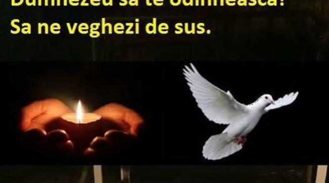 doliu in sportul romanesc un fost campion national la handbal a murit la doar 39 de ani