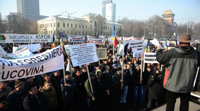 peste 50 de lucratori din sectorul silvic protesteaza in fata sediului guvernului