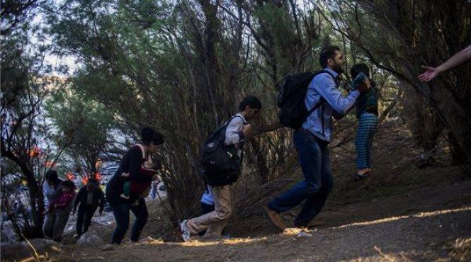 grecia ar fi deportat din greseala solicitanti de azil sustine unhcr