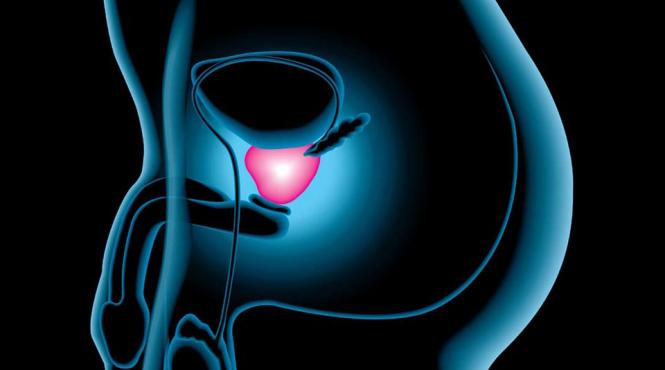 tratamente naturiste plante care trateaza afectiunile prostatei