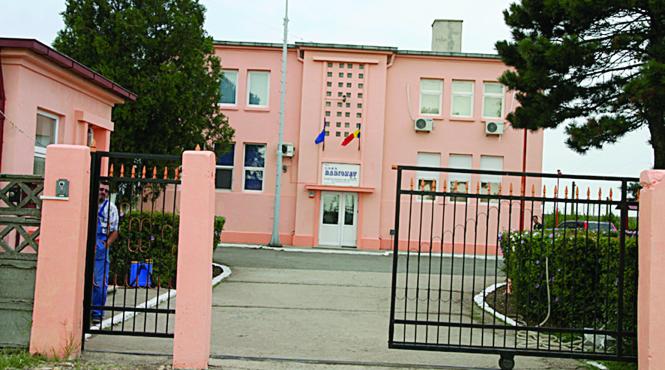 radionav constanta pusa pe butuci de directorul nancu