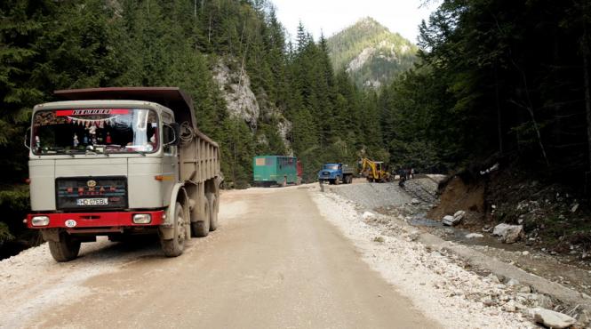 cantitatea de material lemnos confiscat a crescut cu 45 in trimestrul i fata de intervalul similar din 2015