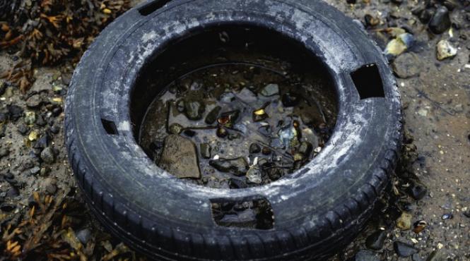 drama o traditie veche din judetul brasov a ucis o fetita de aproximativ 3 ani