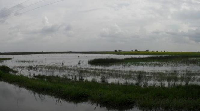 bilant isu ramnicu valcea si alte trei localitati afectate de inundatii
