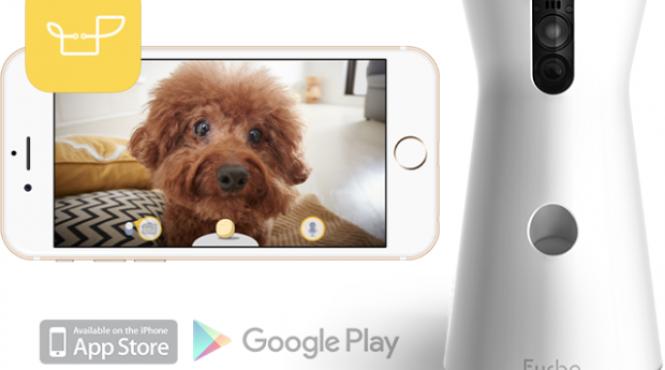 furbo gadget ul care le tine companie cateilor