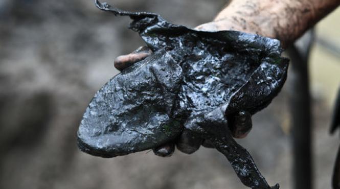 o descoperire foarte importanta sub ruinele turnurilor gemene din new york