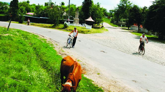 din toamna parlamentul se muta la tara