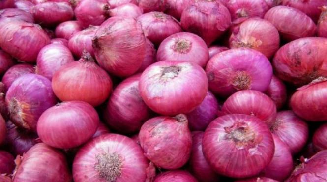 tratamente naturiste ceapa rosie un elixir al vietii sanatoase