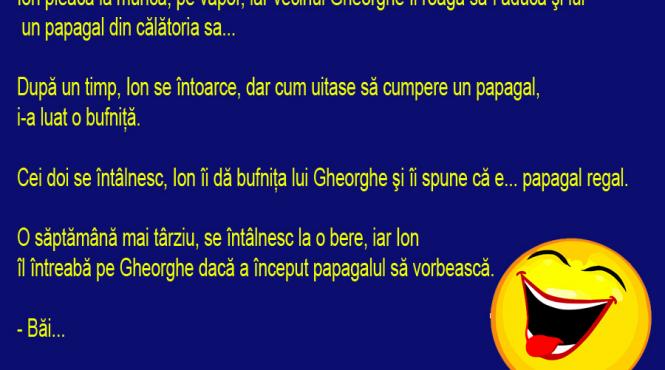 bancul zilei papagal a vrut papagal a primit regal