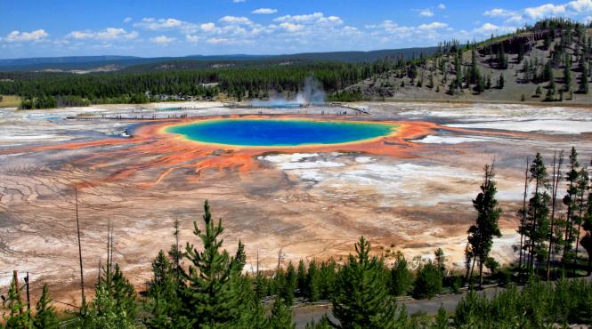o excursie in parcul yellowstone a fost fatala pentru un american