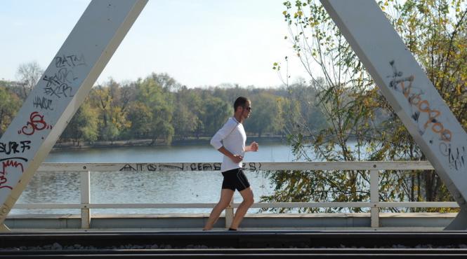 proiect daca zilele de sarbatoare legala coincid cu cele de repaus saptamanal sa fie acordate in urmatoarea zi lucratoare