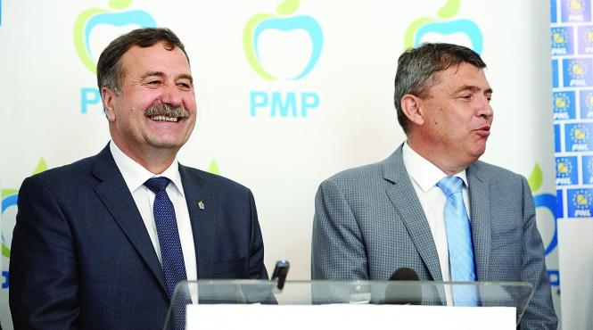 afacerile cotroversate ale pmp istului lui petrache