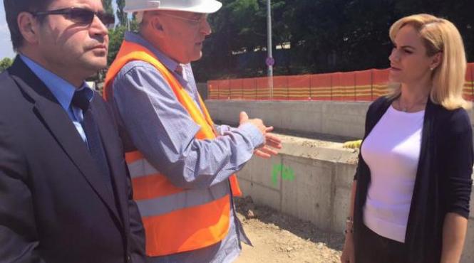 de ce nu poate gabriela firea sa depuna juramantul pe 15 iunie