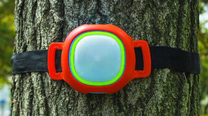 rox jucaria care ii scoate pe copii din lumea virtuala