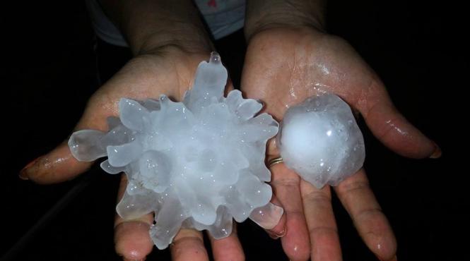 grindina mai mare decat oul de gaina a facut prapad in timis