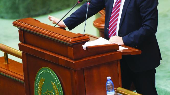 senatul a ingropat cazul votului din diaspora la alegerile din 2014