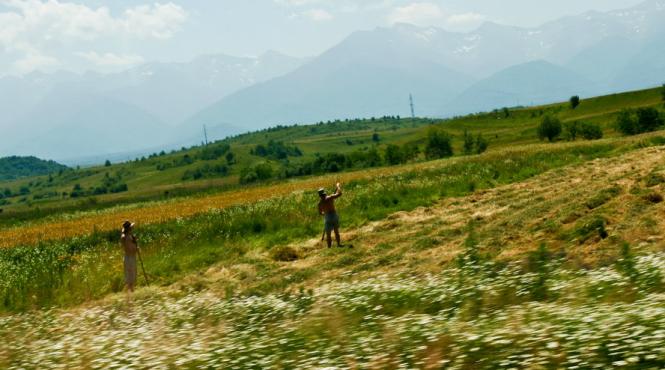 vaslui trei persoane au murit din cauza caniculei