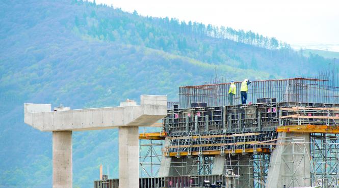 rege asfaltului de la selina dedicatii fara numar