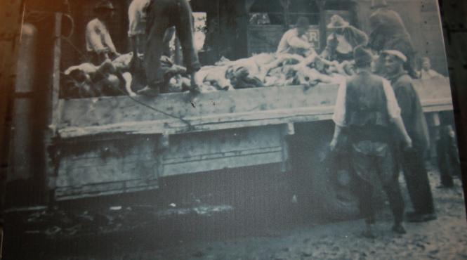 pogromul de la iasi 75 de ani ma credeau spion ca aveam servieta am fost batut cu patul armei si dus apoi cu trenul mortii galerie foto